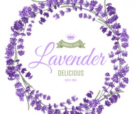 Beautiful lavander vector