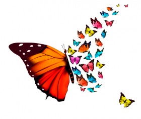 Butterflies art background vector graphics 01