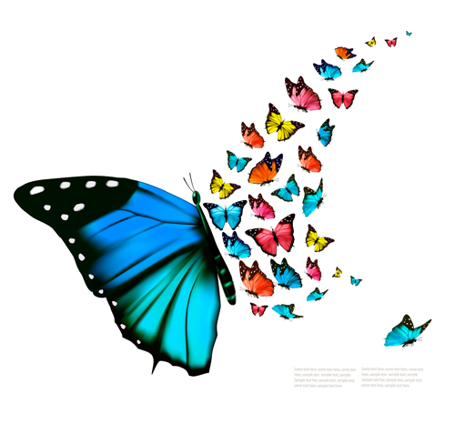 Butterflies art background vector graphics 05