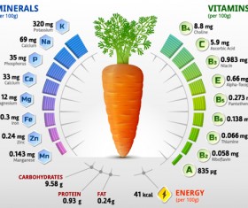 Carrot vitamins infographics vector