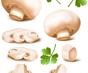 Champignon and parsley leaves vector