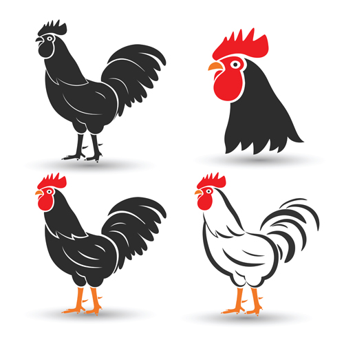 Creative chicken logos vector design 04