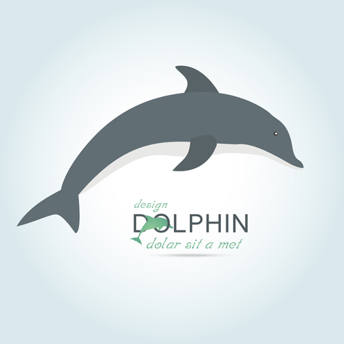 Creative dolphin vector backgrounds 03