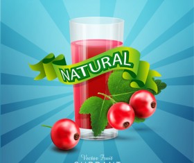 Currant juice nature vector