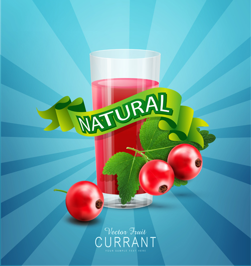 Currant juice nature vector