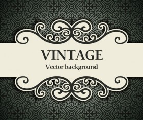 Decor pattern with vintage background vector 01