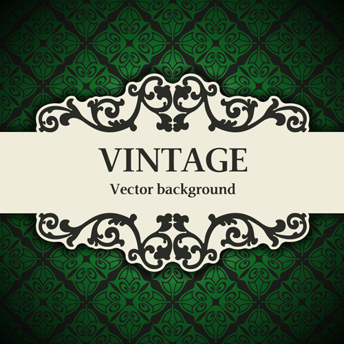 Decor pattern with vintage background vector 08