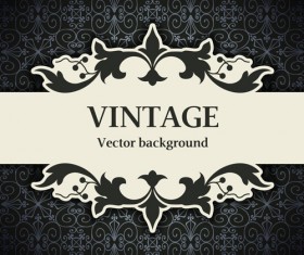Decor pattern with vintage background vector 09