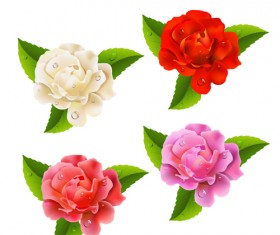 Different colored rose vector material 01