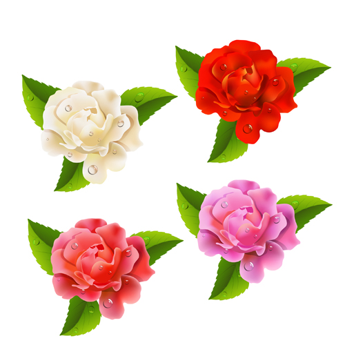 Different colored rose vector material 01