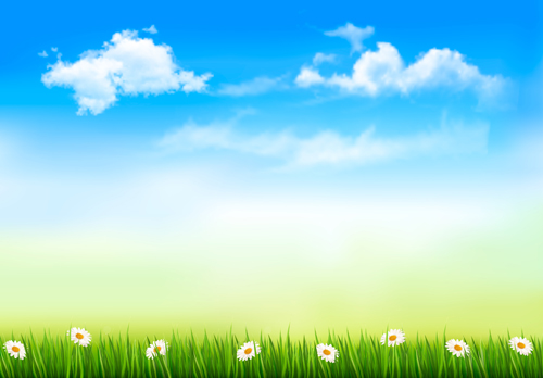 Grass with blue sky spring vectors 01 free download
