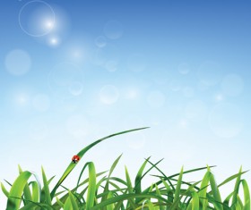 Grass with blue sky spring vectors 02