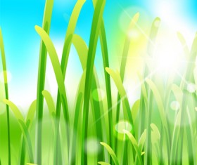 Grass with blue sky spring vectors 04