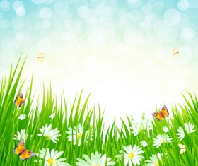 Grass with blue sky spring vectors 05