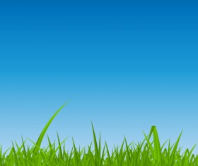 Grass with blue sky spring vectors 06
