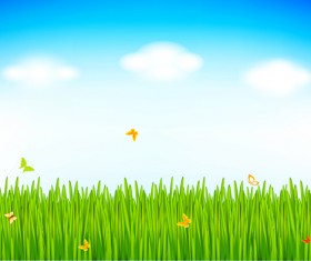 Grass with blue sky spring vectors 08