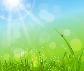 Grass with blue sky spring vectors 09