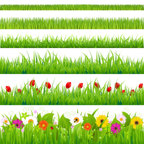 Grass with flower borders vector 01