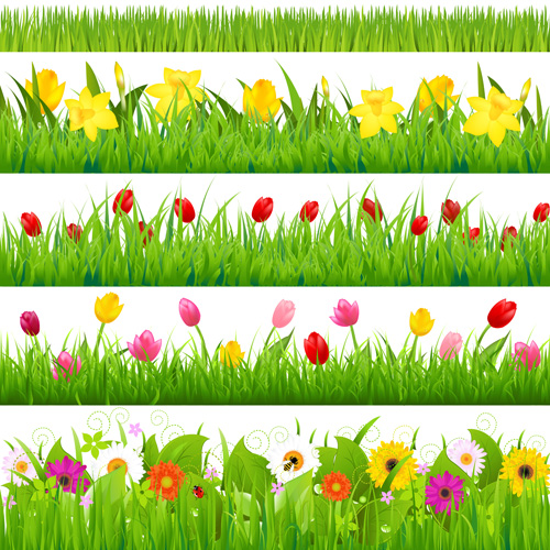 Grass with flower borders vector 03