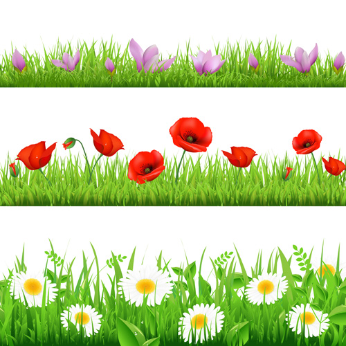 Grass with flower borders vector 04