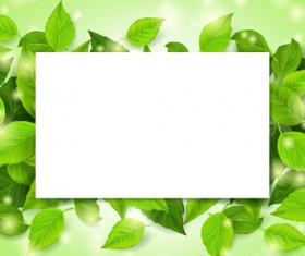 Green leaves frame vectors set 02