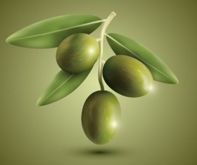 Green olives vector material