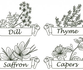 Hand drawn herbs and spices labels vector 01