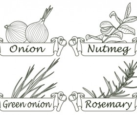 Hand drawn herbs and spices labels vector 02