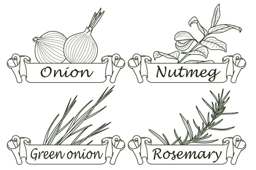 Hand drawn herbs and spices labels vector 02