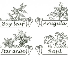 Hand drawn herbs and spices labels vector 03