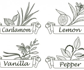Hand drawn herbs and spices labels vector 06