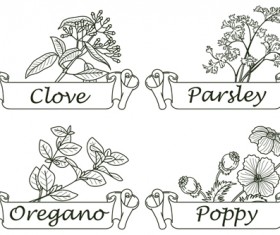 Hand drawn herbs and spices labels vector 08