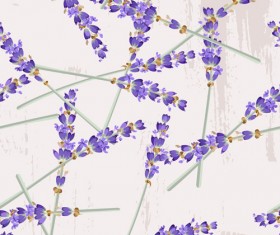 Lavander seamless pattern vectors