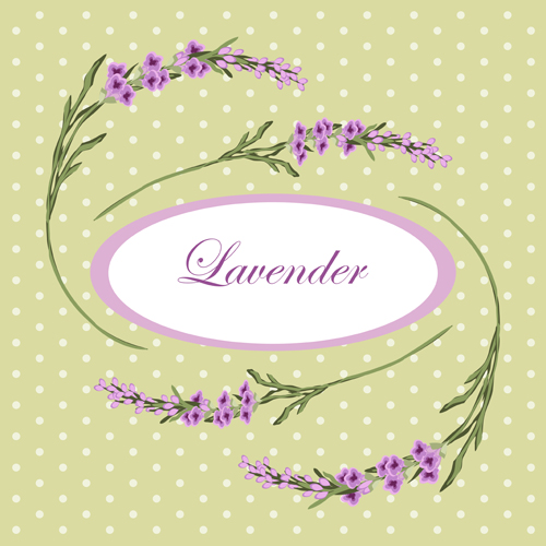 Lavander with round dots background vector