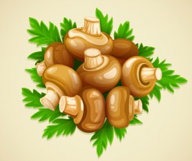 Mushrooms and parsley leaves vector