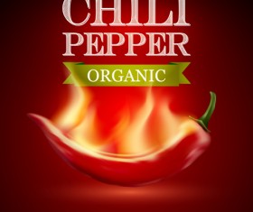 Organic chili pepper poster vector 02