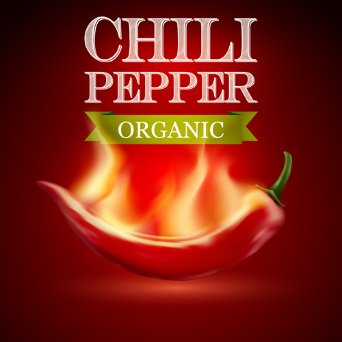 Organic chili pepper poster vector 02