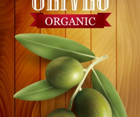 Organic olives with wooden background vector 01