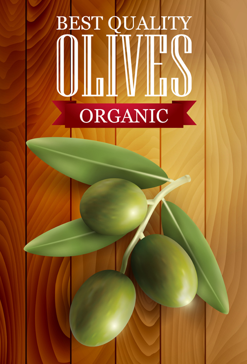 Organic olives with wooden background vector 01