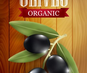 Organic olives with wooden background vector 02
