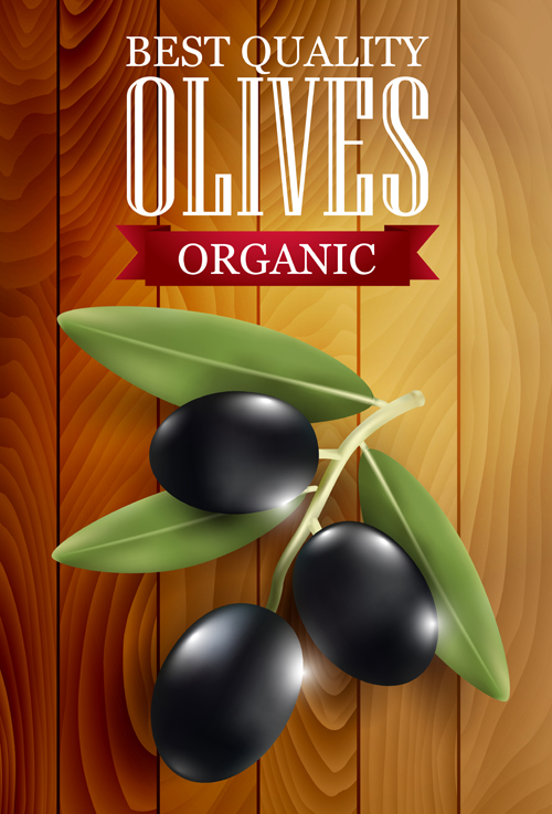 Organic olives with wooden background vector 02
