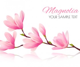 Pink magnolia flower background vector 01