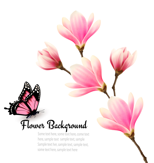Pink magnolia flower background vector 03