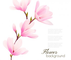 Pink magnolia flower background vector 04