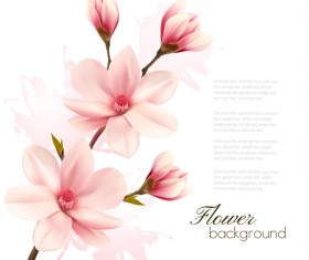 Pink magnolia flower background vector 05