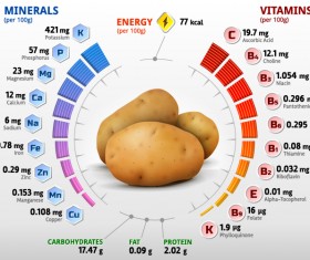 Potato vitamins infographics vector
