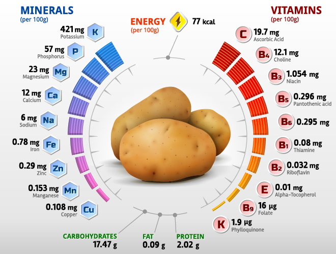 Potato vitamins infographics vector