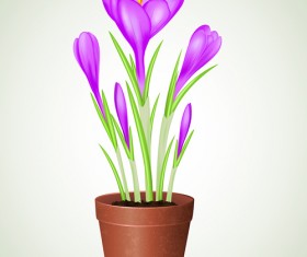 Purple flower and flowerpot vector