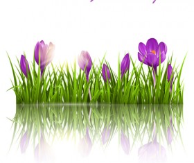 Purple flower with grass background vector