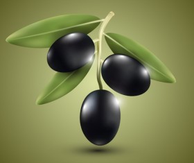 Purple olives vector material